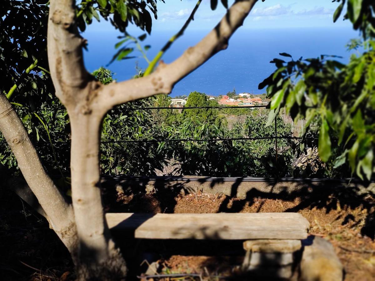 La Casa De La Cartita Villa Puntagorda Екстериор снимка