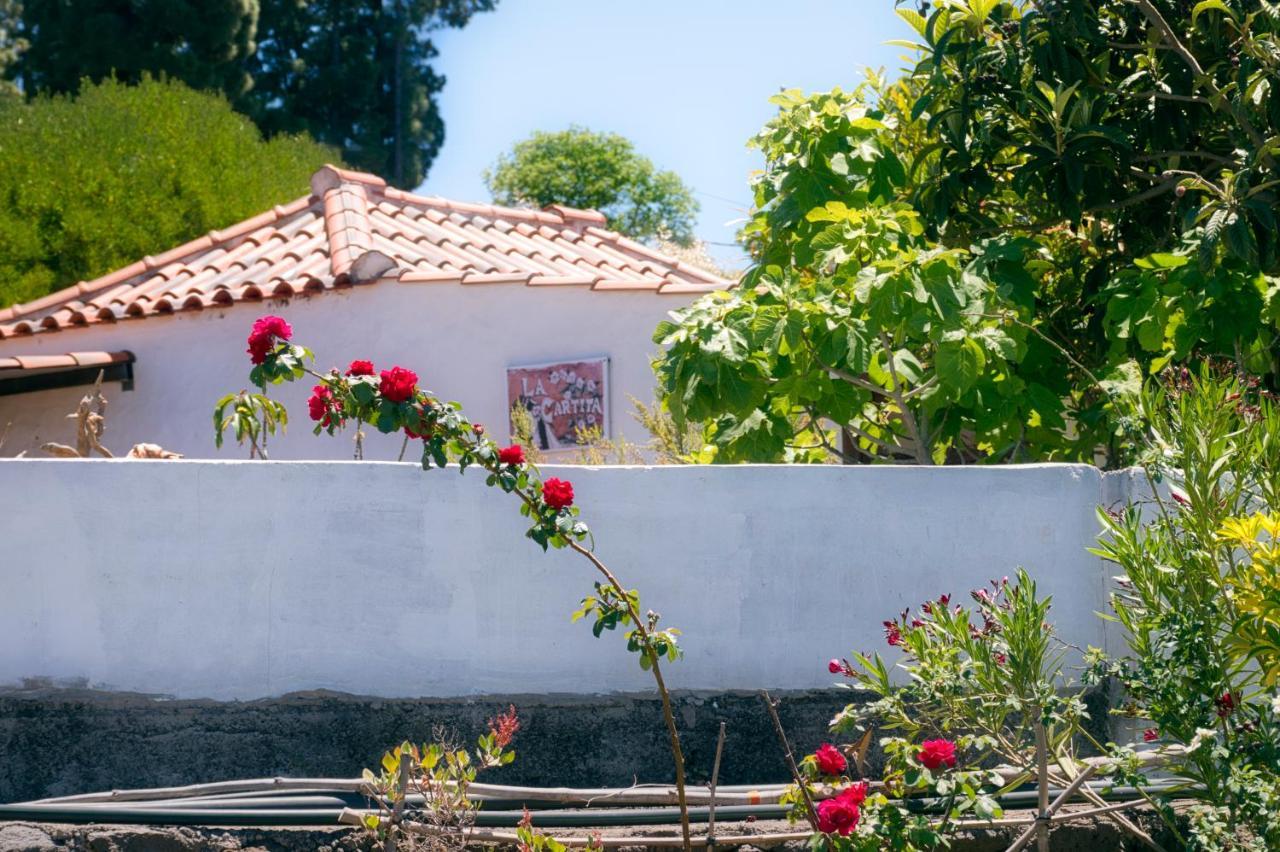 La Casa De La Cartita Villa Puntagorda Екстериор снимка