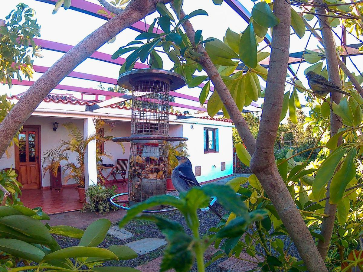 La Casa De La Cartita Villa Puntagorda Екстериор снимка